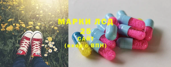 мяу мяу мука Аркадак