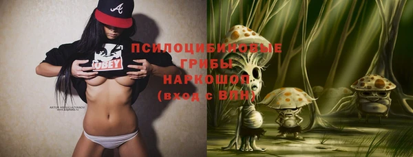 ГАЛЛЮЦИНОГЕННЫЕ ГРИБЫ Арсеньев