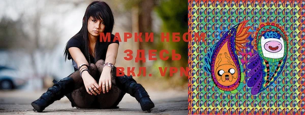 мяу мяу мука Аркадак