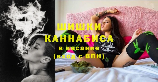 ГАЛЛЮЦИНОГЕННЫЕ ГРИБЫ Арсеньев