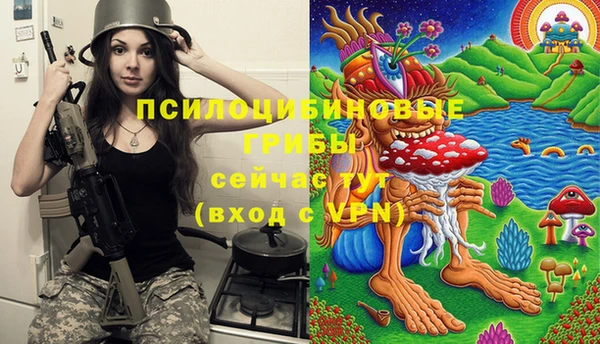 ГАЛЛЮЦИНОГЕННЫЕ ГРИБЫ Арсеньев