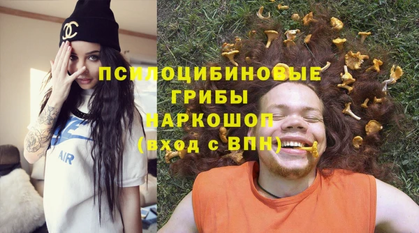 ГАЛЛЮЦИНОГЕННЫЕ ГРИБЫ Арсеньев