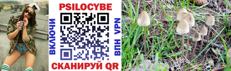 kraken зеркало  Мезень  Псилоцибиновые грибы GOLDEN TEACHER 